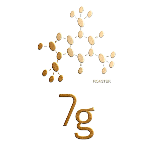 7g Roaster